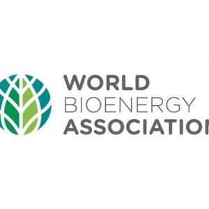 BBEST 2024 - WBA logo 2024